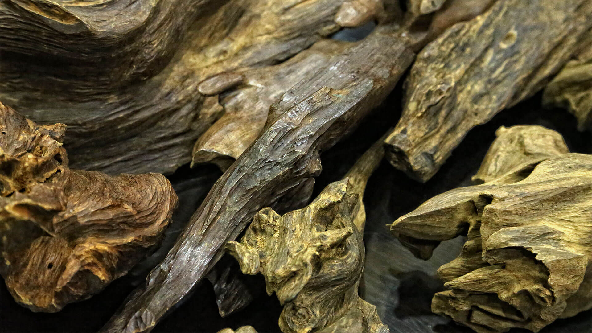 Oud Oils