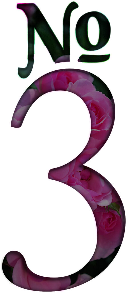 EO 3: Rose Musk Oud Parfum