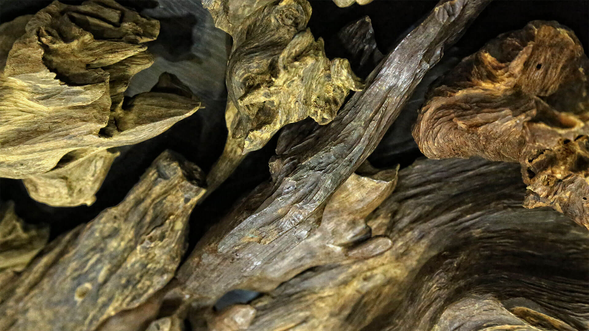 Oud Chips