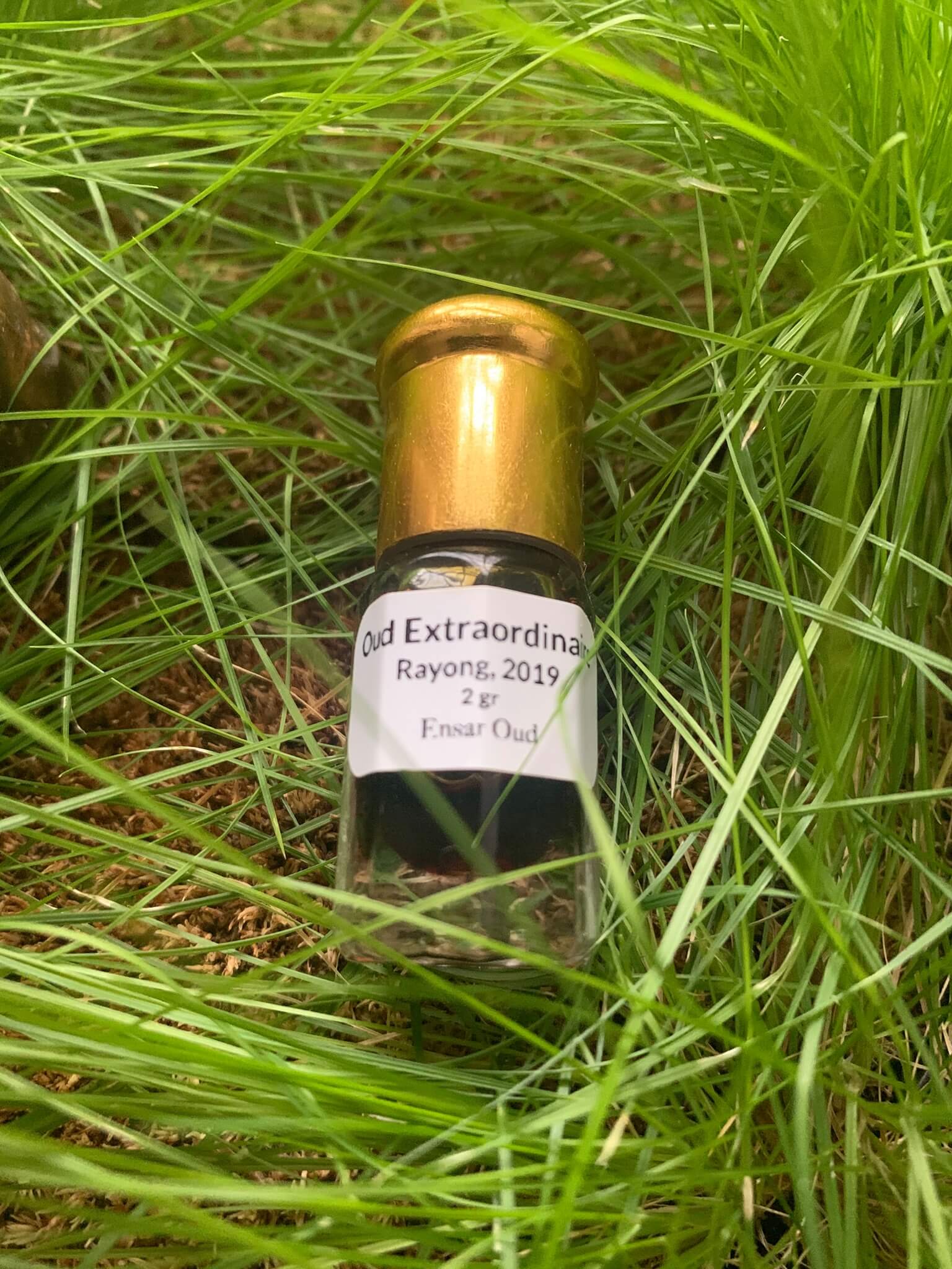 Oud Oil from Thailand