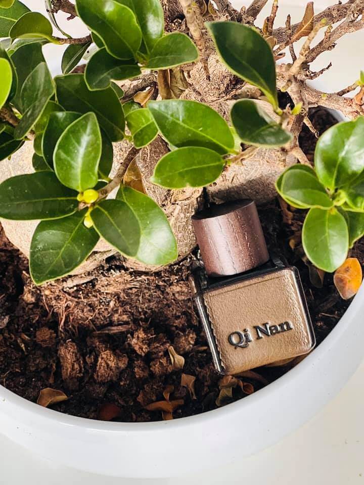 Qi Nan Oud & Mint Parfum