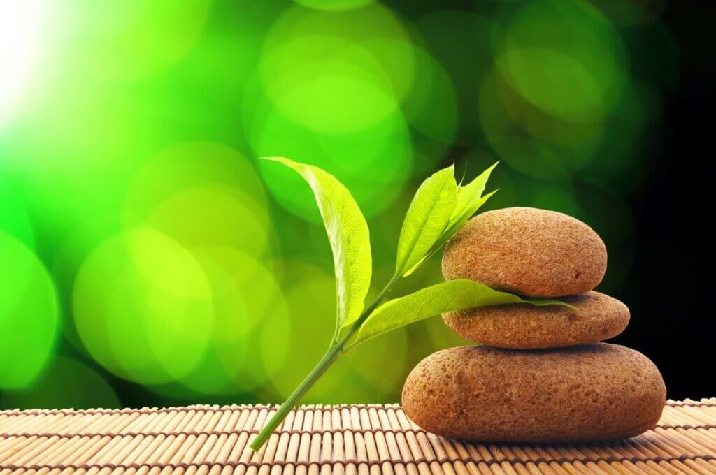 Qi Nan Oud Mint Perfume