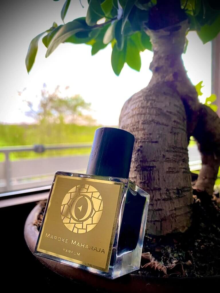 Niche Smokey Oud Perfume