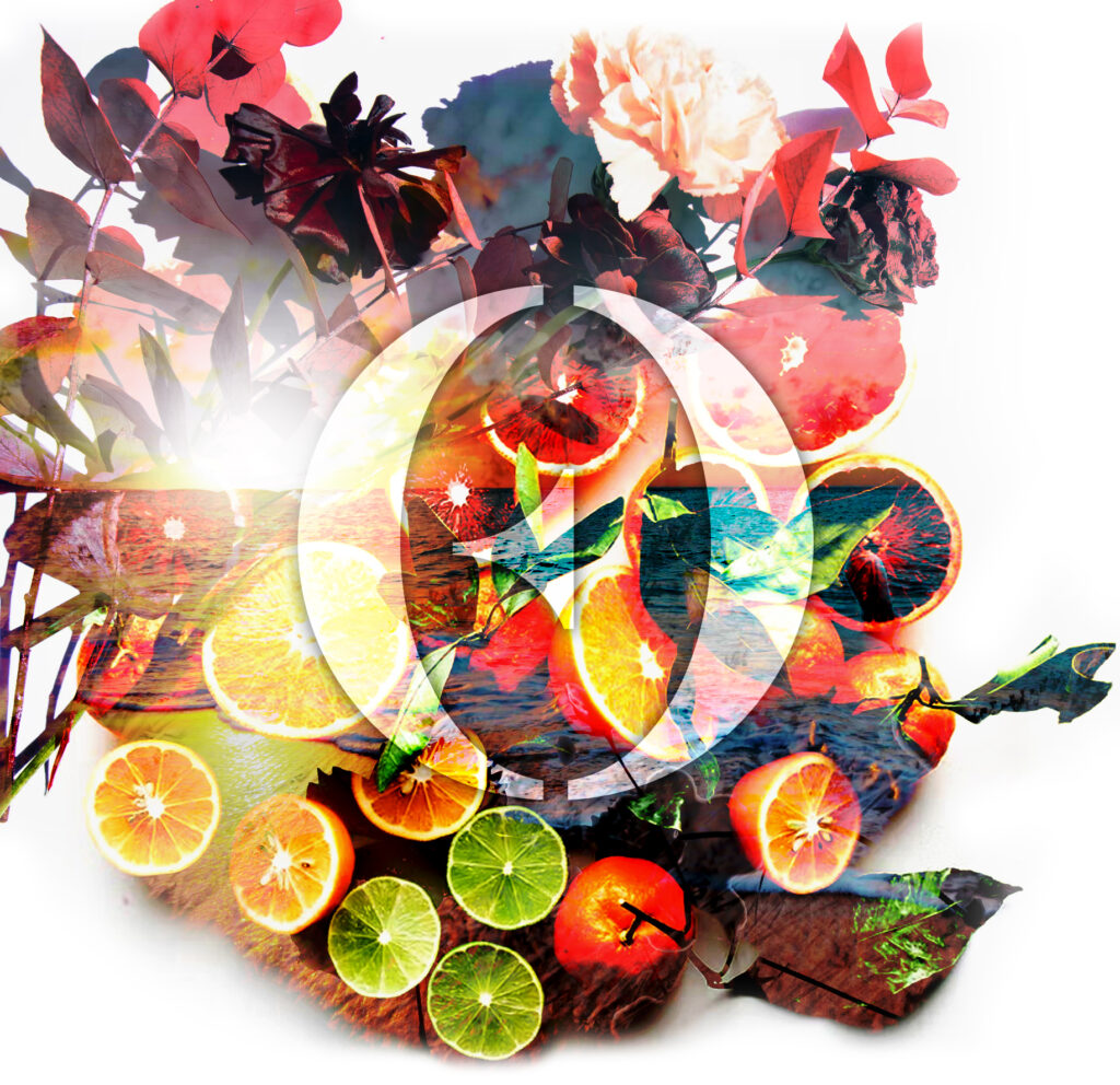 Best Summer Perfumes & Ouds