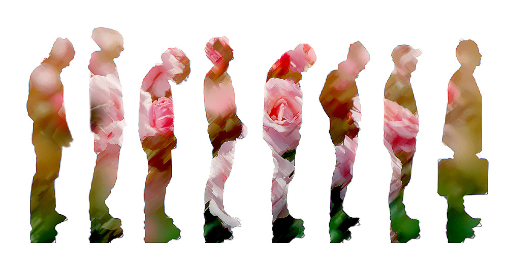 Therapeutic Rose Otto Oil