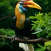 Borneo Oud Oil