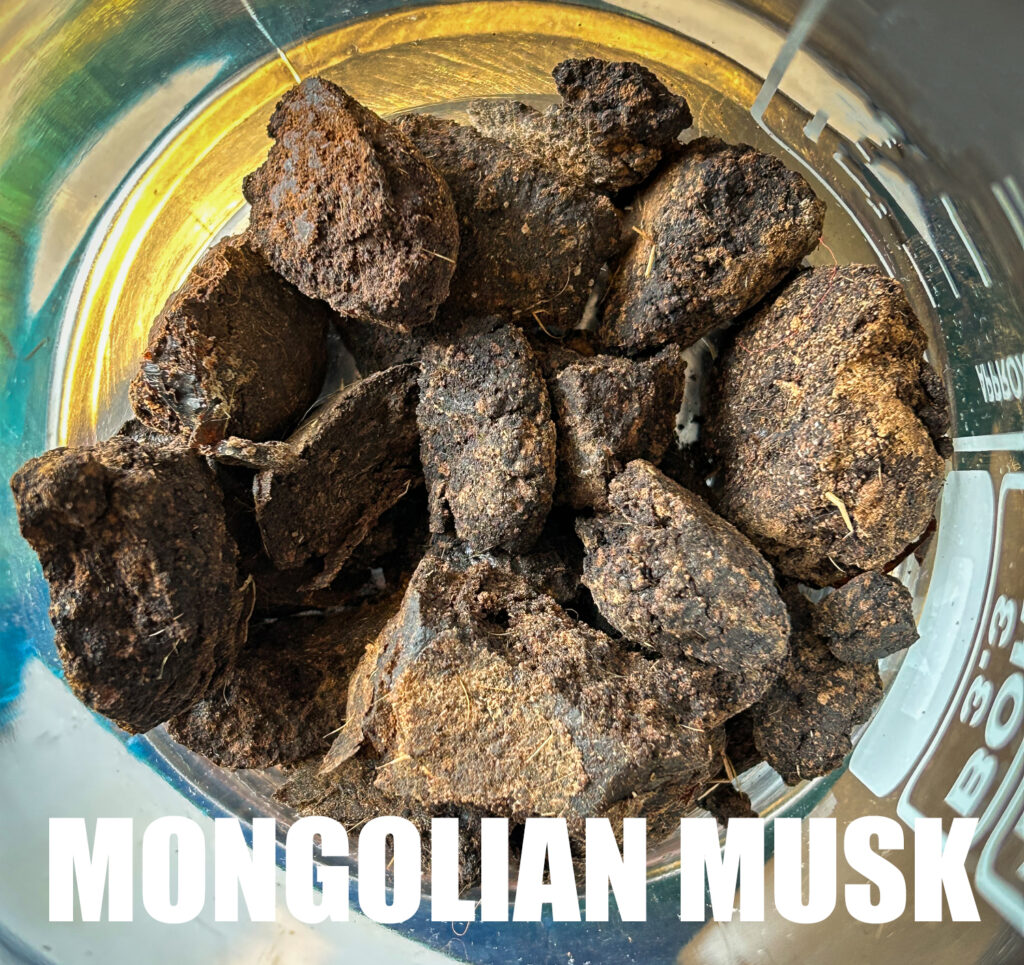 Mongolian Musk Saffron