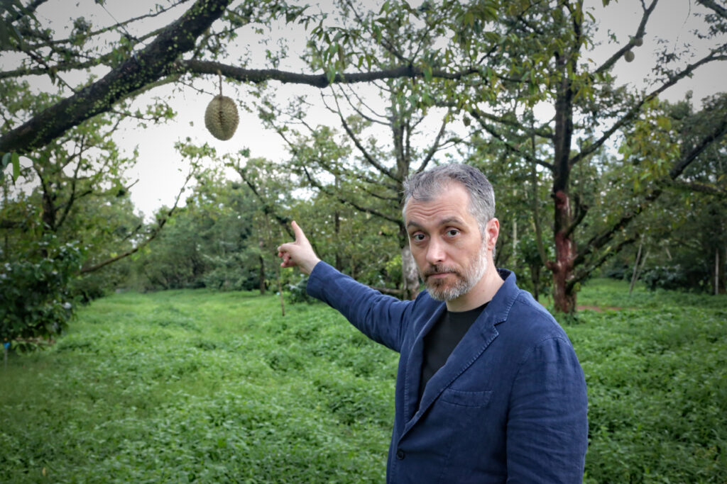 Oud, Agarwood and Durian