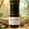 Borneo 3000