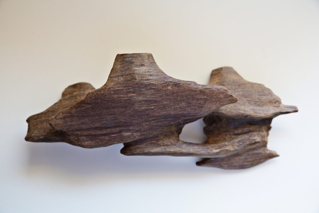 Rare Cambodia Agarwood