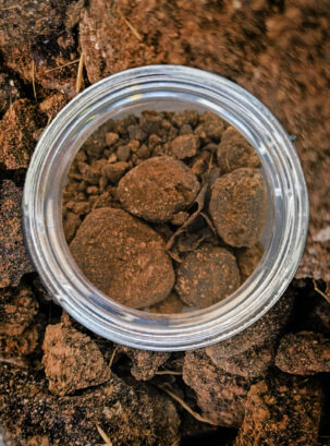 Sandalwood and Tibetan Musk Infusion by Ensar Oud