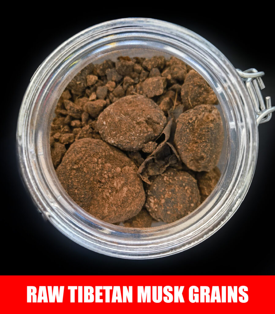 Sandalwood and Tibetan Musk Infusion by Ensar Oud