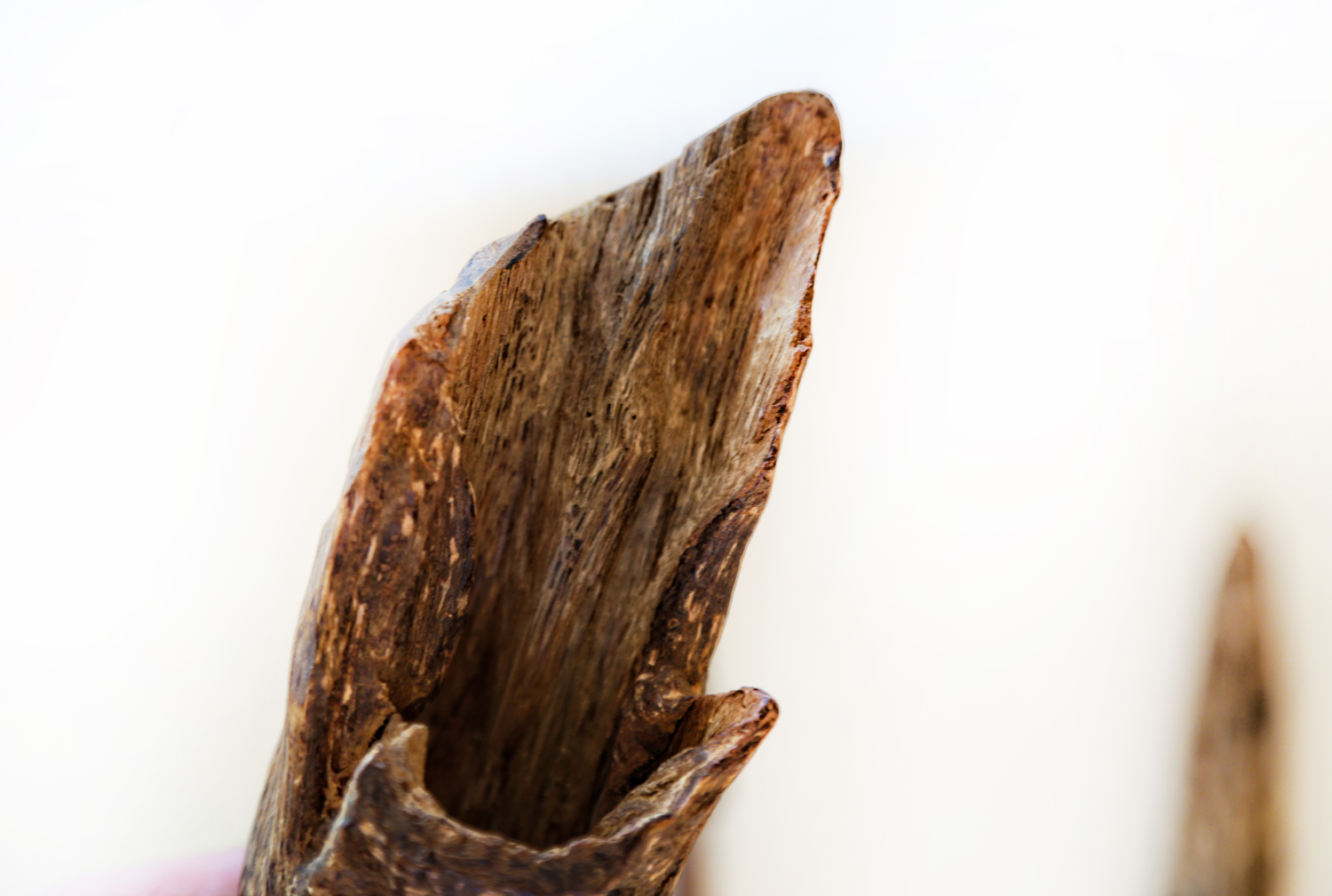 Huile De Oud Sauvage Tarakan Kalimantan - Neuf - Fabriqué En France