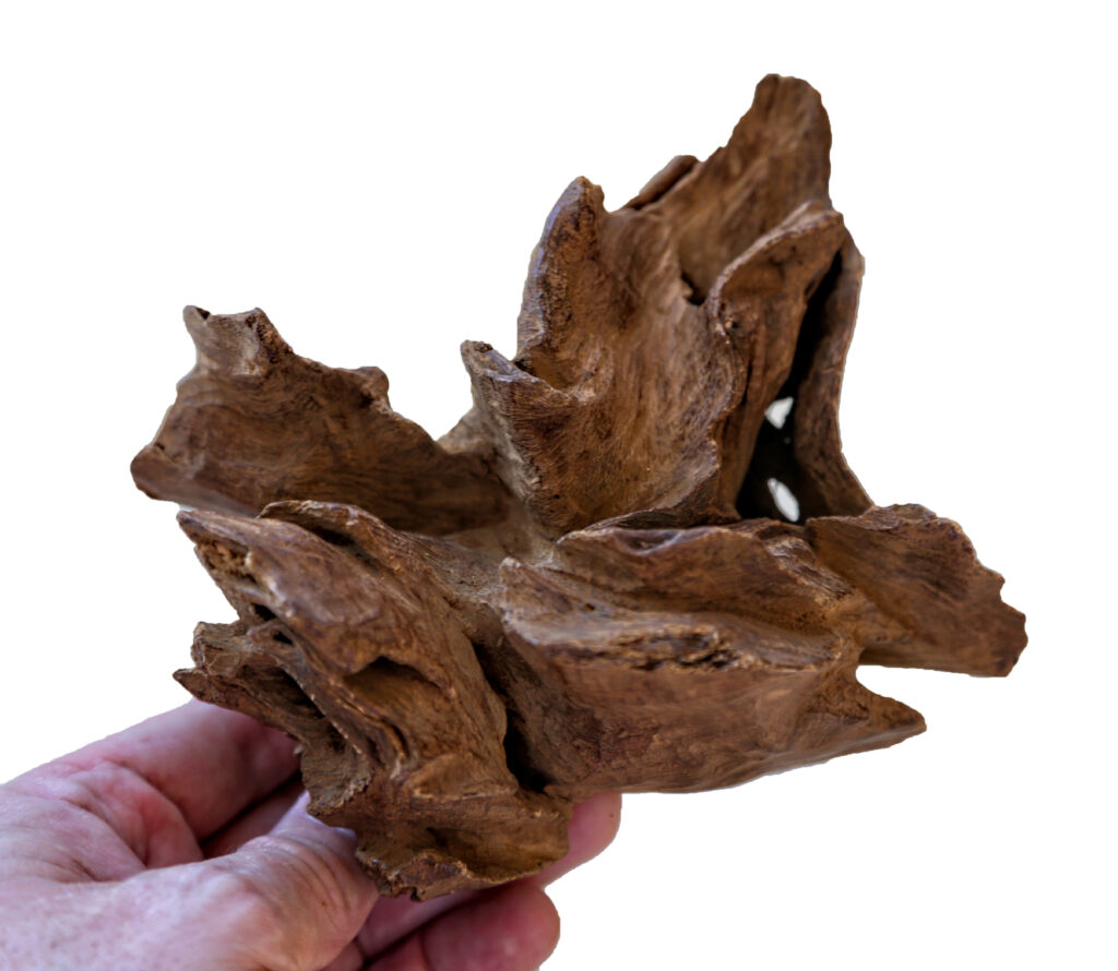 Jayapura Agarwood