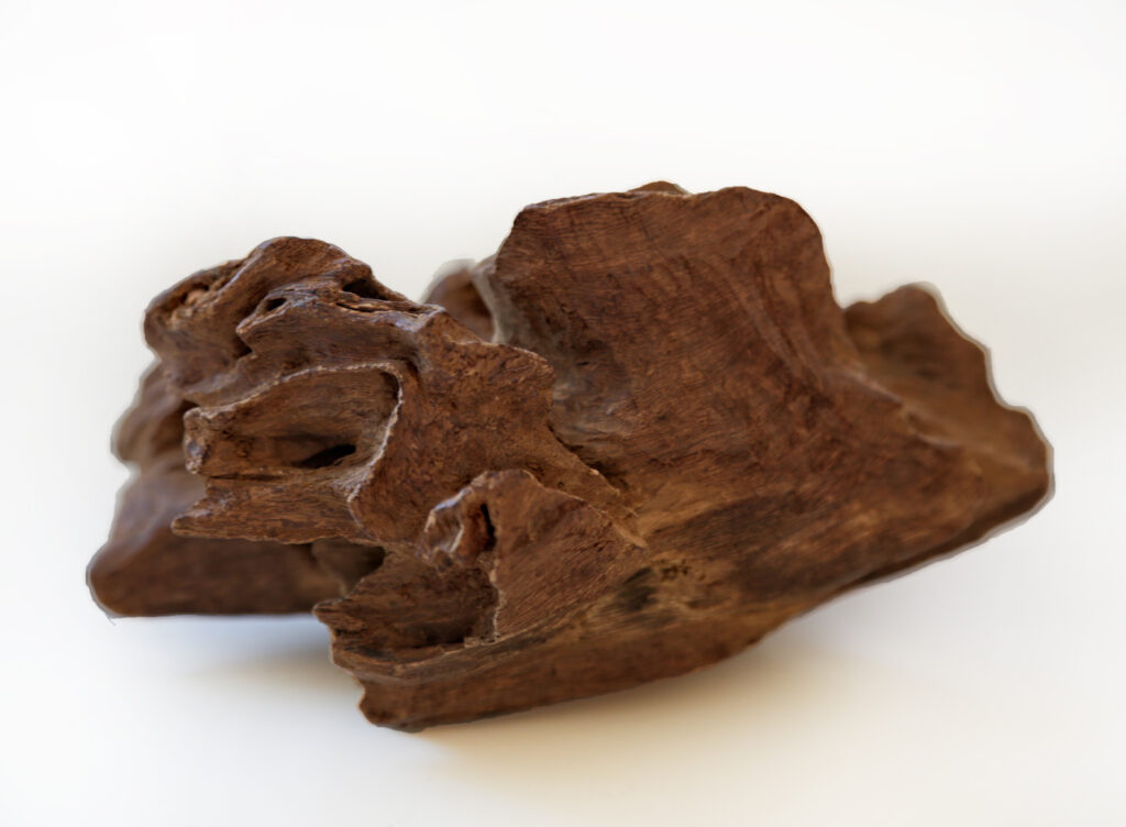 Jayapura Agarwood