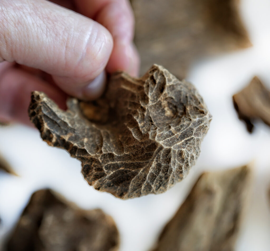 Vintgage Maluku Agarwood by Ensar Oud