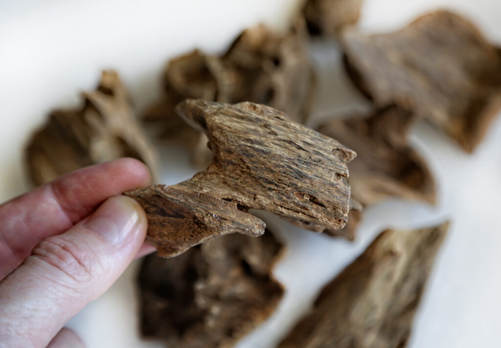 Vintgage Maluku Agarwood by Ensar Oud