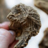Vintgage Maluku Agarwood by Ensar Oud