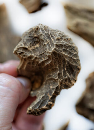 Vintgage Maluku Agarwood by Ensar Oud