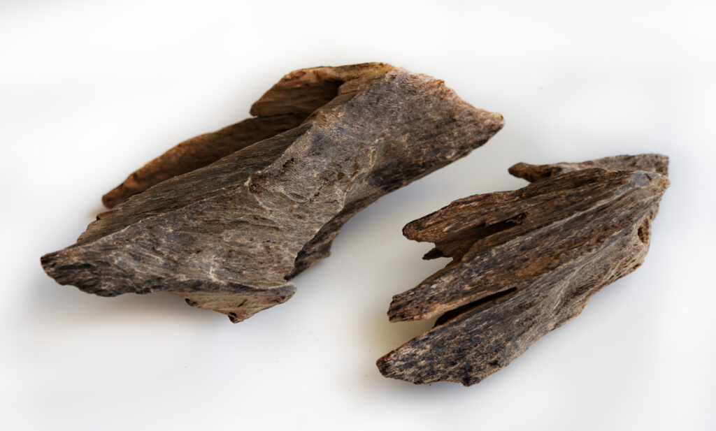Vintgage Maluku Agarwood by Ensar Oud