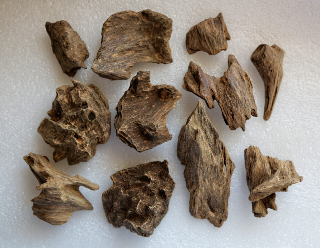 Vintgage Maluku Agarwood by Ensar Oud