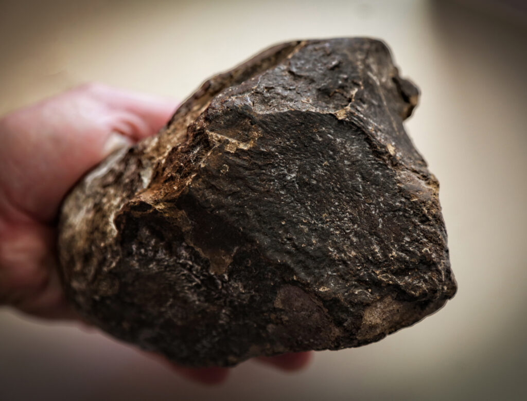 Rare Black Ambergris