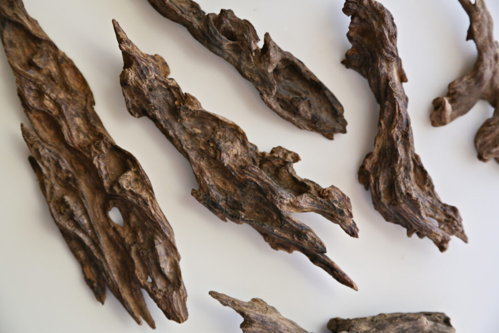 Rare Port Moresby Agarwood