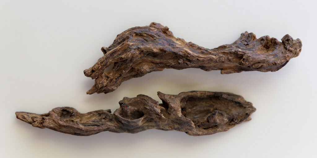 Rare Port Moresby Agarwood