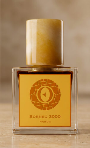 Borneo 3000